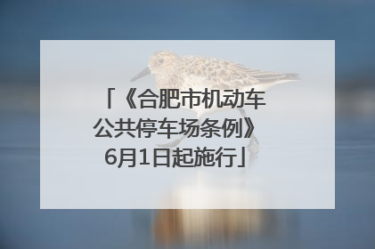 《合肥市机动车公共停车场条例》6月1日起施行