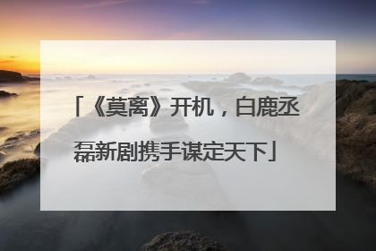 《莫离》开机，白鹿丞磊新剧携手谋定天下