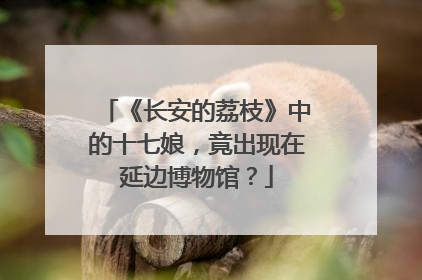 《长安的荔枝》中的十七娘，竟出现在延边博物馆？