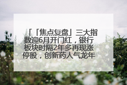 「焦点复盘」三大指数迎6月开门红，银行板块时隔2年多再现涨停股，创新药人气龙年内飙涨超3倍