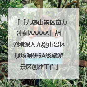 「九嶷山景区奋力冲刺AAAAA」胡勇刚深入九嶷山景区现场调研5A级旅游景区创建工作