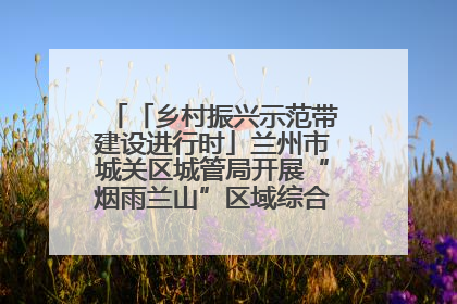 「乡村振兴示范带建设进行时」兰州市城关区城管局开展“烟雨兰山”区域综合整治专项行动