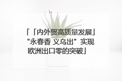 「内外贸高质量发展」“永春香 义乌出”实现欧洲出口零的突破