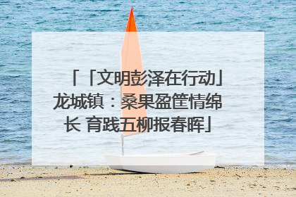 「文明彭泽在行动」龙城镇：桑果盈筐情绵长 育践五柳报春晖