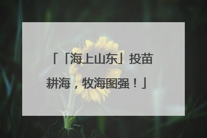 「海上山东」投苗耕海，牧海图强！