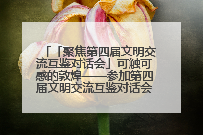 「聚焦第四届文明交流互鉴对话会」可触可感的敦煌——参加第四届文明交流互鉴对话会的外宾参观上元市集
