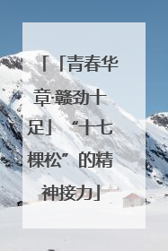 「青春华章·赣劲十足」“十七棵松”的精神接力