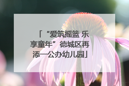 “爱筑摇篮 乐享童年”德城区再添一公办幼儿园