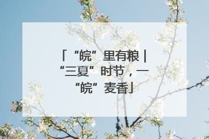 “皖”里有粮｜“三夏”时节，一“皖”麦香