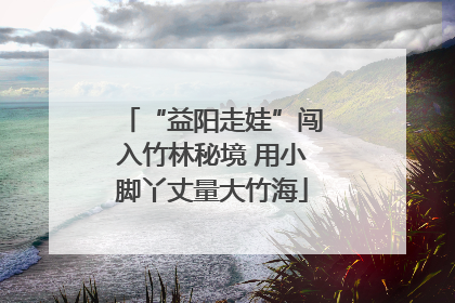 “益阳走娃”闯入竹林秘境 用小脚丫丈量大竹海
