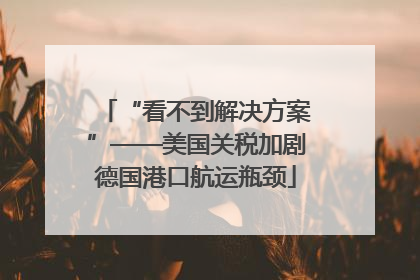 “看不到解决方案”——美国关税加剧德国港口航运瓶颈