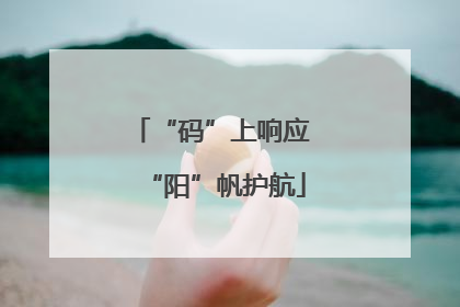 “码”上响应 “阳”帆护航