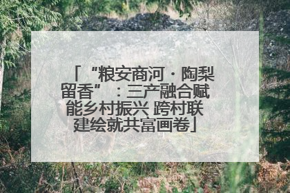 “粮安商河・陶梨留香”：三产融合赋能乡村振兴 跨村联建绘就共富画卷