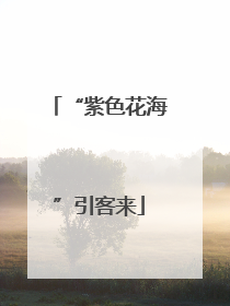 “紫色花海”引客来