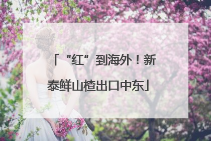 “红”到海外！新泰鲜山楂出口中东