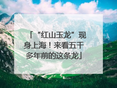 “红山玉龙”现身上海！来看五千多年前的这条龙