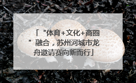 “体育+文化+商圈”融合，苏州河城市龙舟邀请赛向新而行