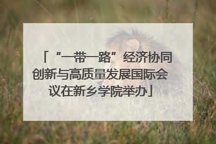 “一带一路”经济协同创新与高质量发展国际会议在新乡学院举办