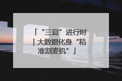 “三夏”进行时｜大数据化身“精准割麦机”