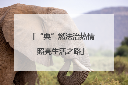 “典”燃法治热情 照亮生活之路