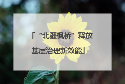 “北疆枫桥”释放基层治理新效能