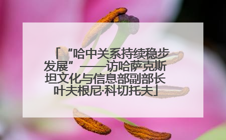 “哈中关系持续稳步发展”——访哈萨克斯坦文化与信息部副部长叶夫根尼·科切托夫