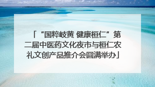“国粹岐黄 健康桓仁”第二届中医药文化夜市与桓仁农礼文创产品推介会圆满举办