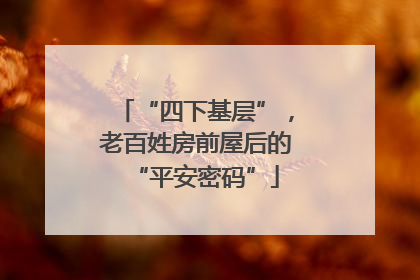 “四下基层”，老百姓房前屋后的“平安密码”