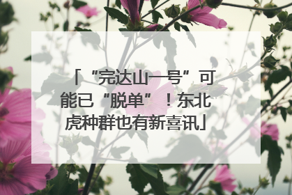 “完达山一号”可能已“脱单”！东北虎种群也有新喜讯
