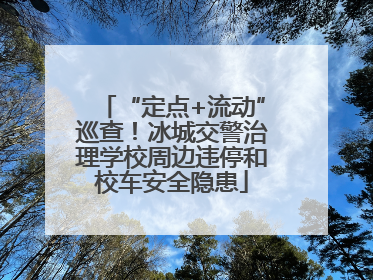 “定点+流动”巡查！冰城交警治理学校周边违停和校车安全隐患