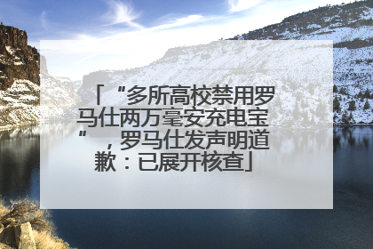 “多所高校禁用罗马仕两万毫安充电宝”，罗马仕发声明道歉：已展开核查