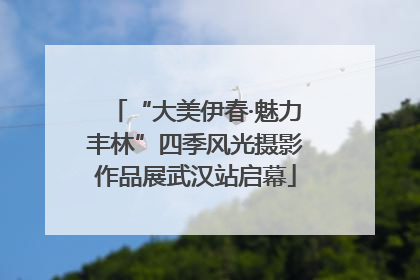 “大美伊春·魅力丰林”四季风光摄影作品展武汉站启幕