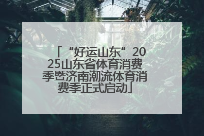 “好运山东”2025山东省体育消费季暨济南潮流体育消费季正式启动