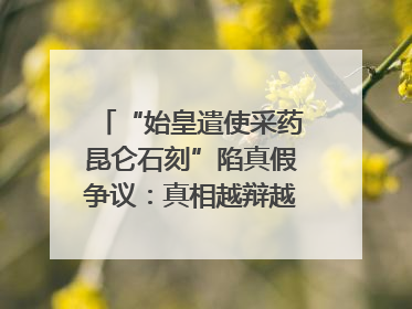 “始皇遣使采药昆仑石刻”陷真假争议：真相越辩越明｜新京报专栏