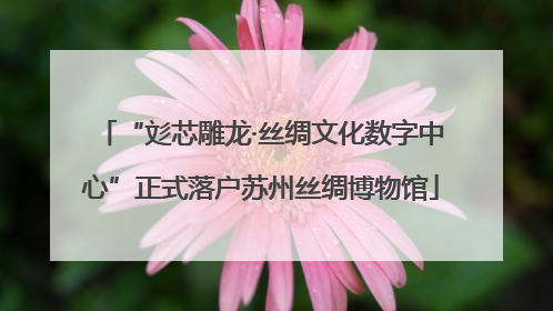“彣芯雕龙·丝绸文化数字中心”正式落户苏州丝绸博物馆