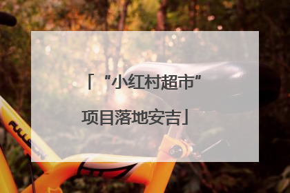 “小红村超市”项目落地安吉