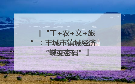 “工+农+文+旅”：丰城市镇域经济“蝶变密码”