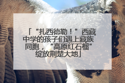 “扎西德勒！”西藏中学的孩子们遇上藏族同胞，“高原红石榴”绽放荆楚大地