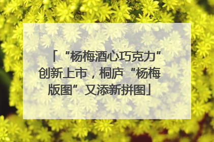 “杨梅酒心巧克力”创新上市，桐庐“杨梅版图”又添新拼图