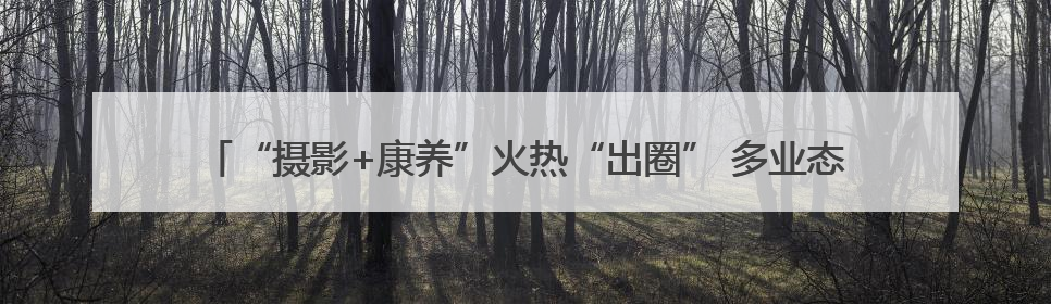 “摄影+康养”火热“出圈” 多业态串联成线激发“银发一族”深度游潜力