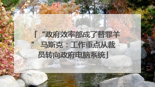 “政府效率部成了替罪羊” 马斯克：工作重点从裁员转向政府电脑系统