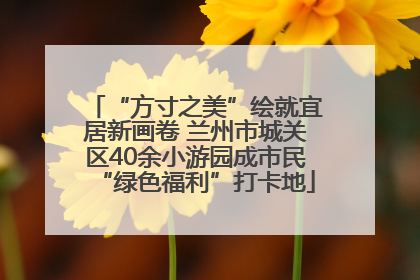 “方寸之美”绘就宜居新画卷 兰州市城关区40余小游园成市民“绿色福利”打卡地