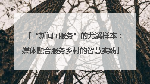 “新闻+服务”的尤溪样本：媒体融合服务乡村的智慧实践