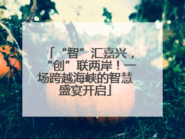 “智”汇嘉兴，“创”联两岸！一场跨越海峡的智慧盛宴开启