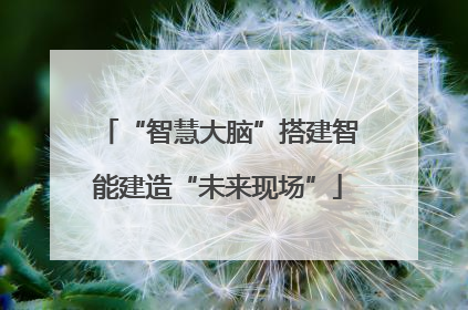 “智慧大脑”搭建智能建造“未来现场”