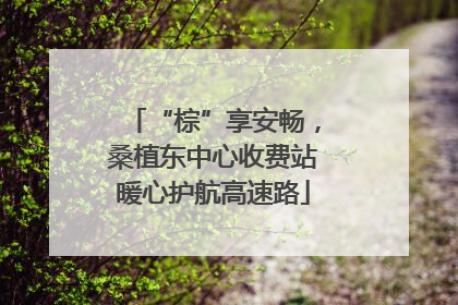 “棕”享安畅，桑植东中心收费站暖心护航高速路