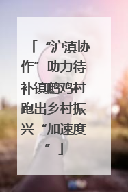 “沪滇协作”助力待补镇鹧鸡村跑出乡村振兴“加速度”