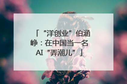 “洋创业”伯涵峥：在中国当一名AI“弄潮儿”