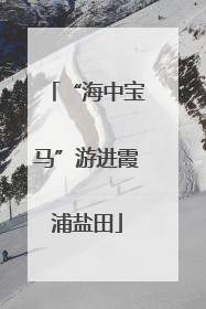 “海中宝马”游进霞浦盐田
