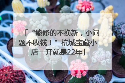 “能修的不换新，小问题不收钱！”杭城宝藏小店一开就是22年